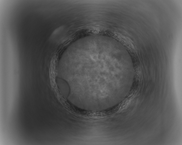 X0000102771105200808181123