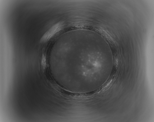 X0000102771106200808181123