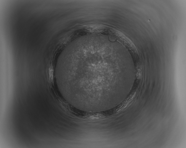 X0000102771108200808181123