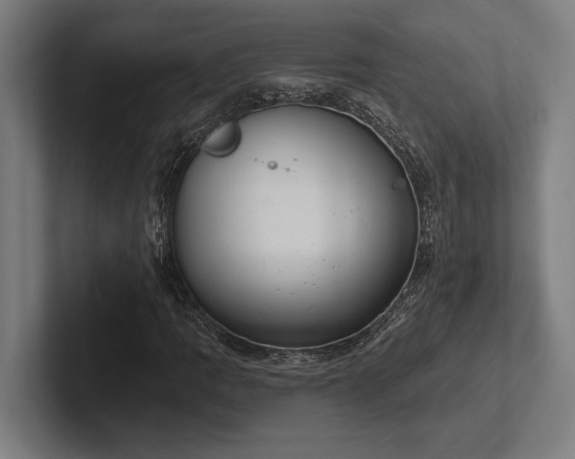 X0000102771109200808181123