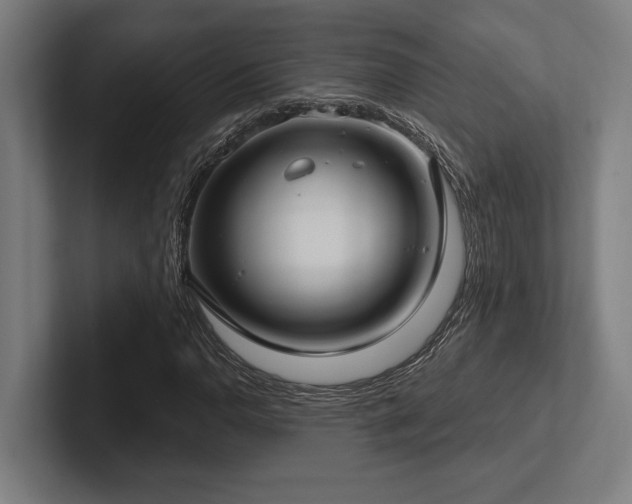 X0000102771110200808181123