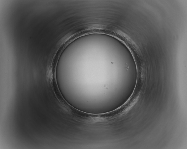 X0000102771113200808181124