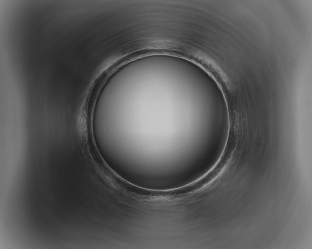 X0000102771114200808181124