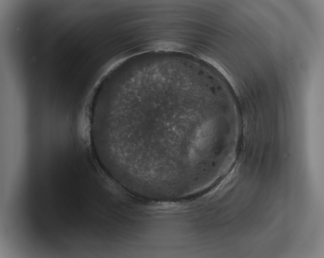 X0000102771115200808181124