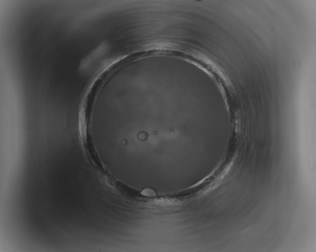 X0000102771117200808181124