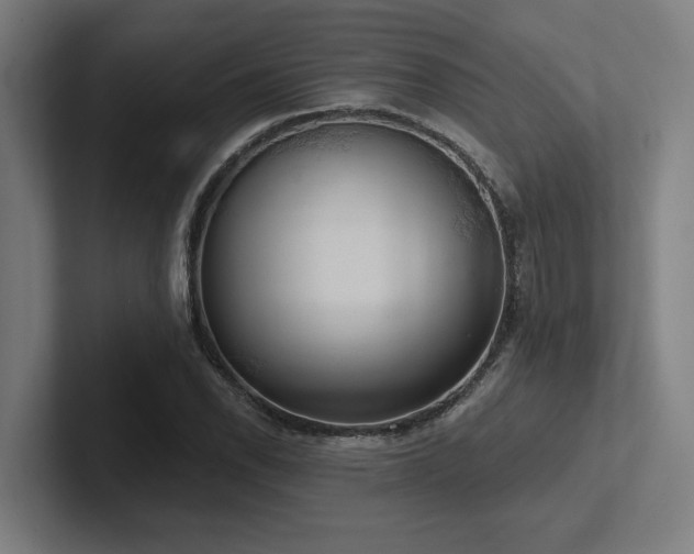 X0000102771118200808181124