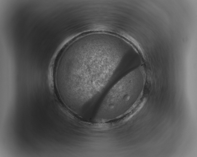 X0000102771120200808181124