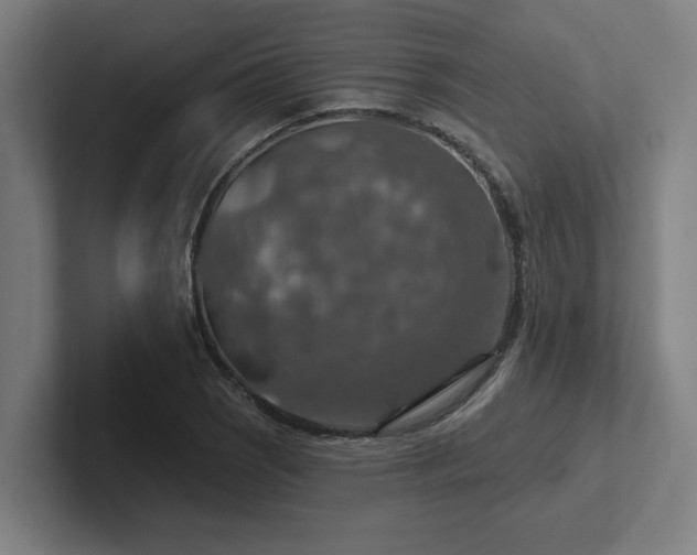 X0000102771121200808181124