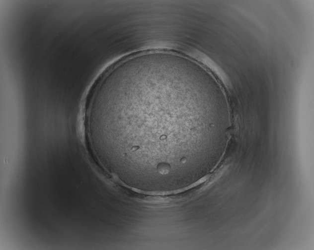 X0000102771124200808181124