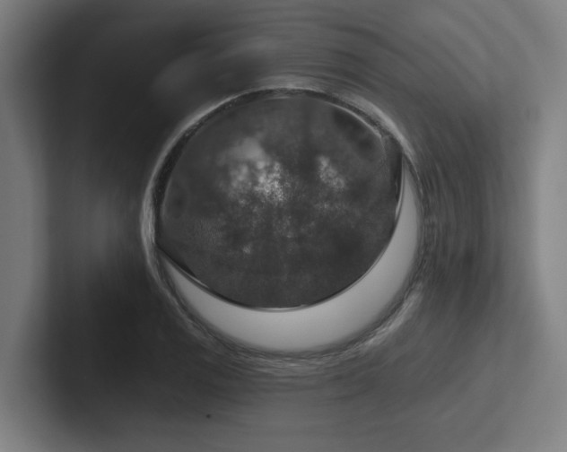 X0000102771125200808181124