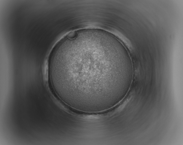 X0000102771126200808181124