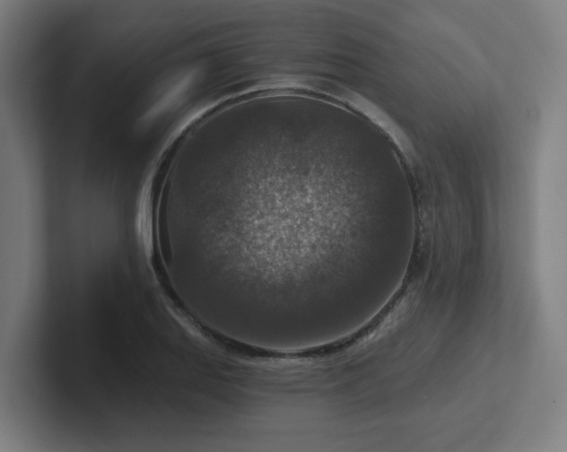 X0000102771127200808181124