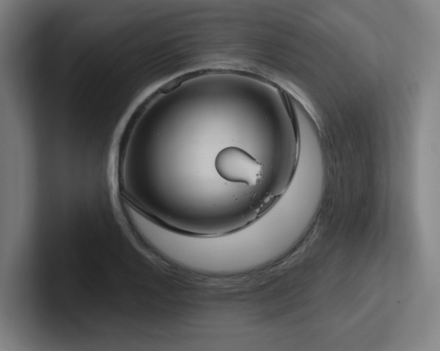 X0000102771128200808181124