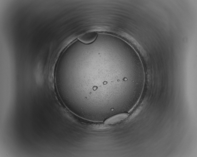 X0000102771129200808181124