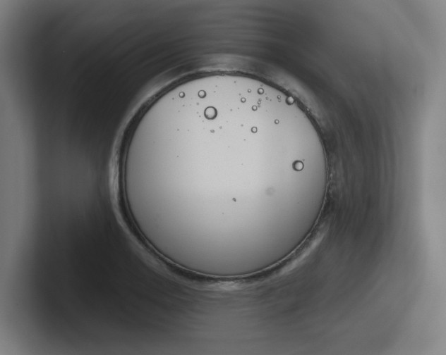 X0000102771130200808181124