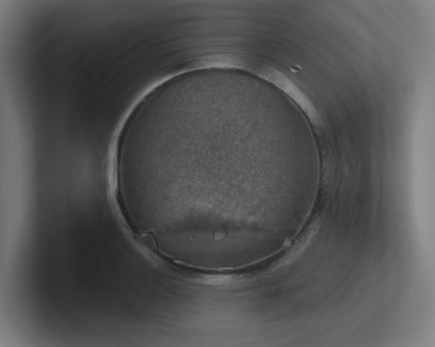 X0000102771132200808181124