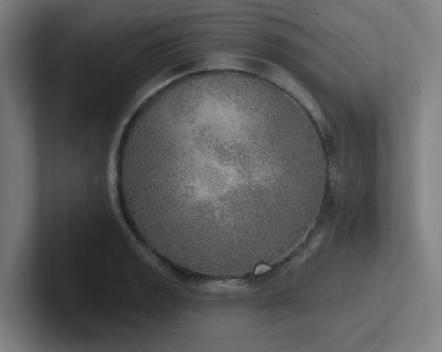 X0000102771133200808181124