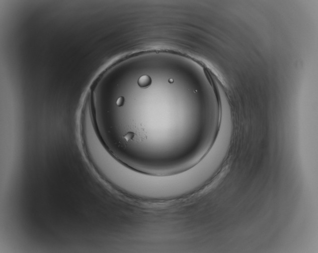 X0000102771134200808181124