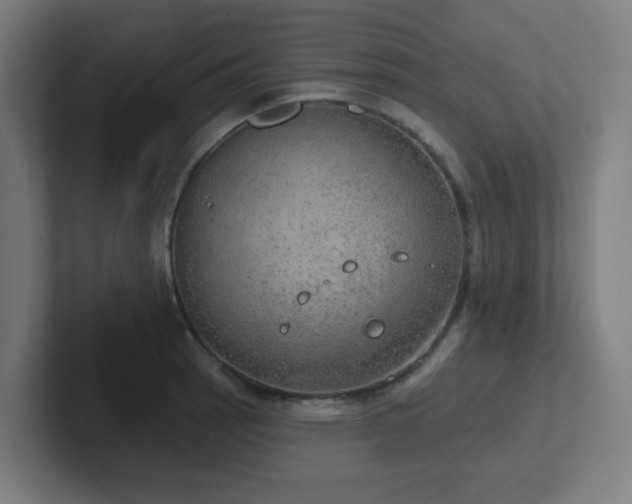 X0000102771137200808181124