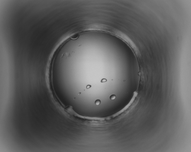 X0000102771138200808181124