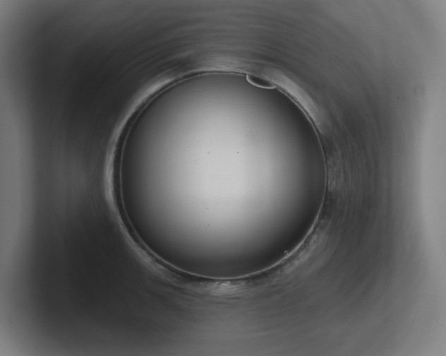 X0000102771139200808181124