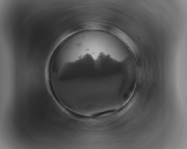 X0000102771141200808181124