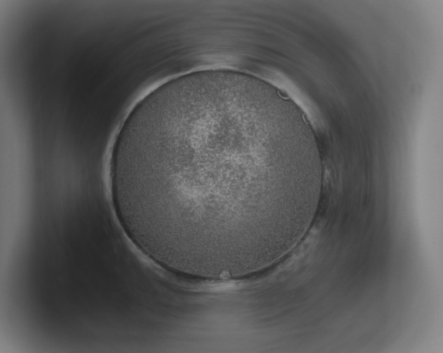 X0000102771143200808181124