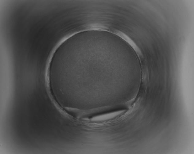 X0000102771144200808181124