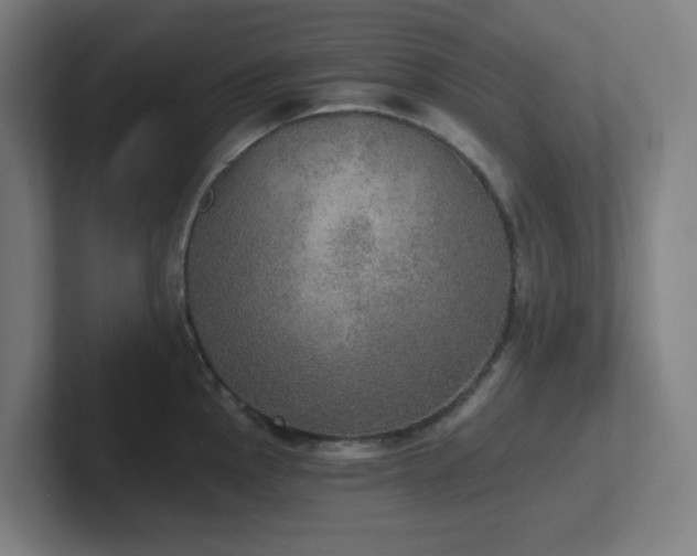 X0000102771145200808181124