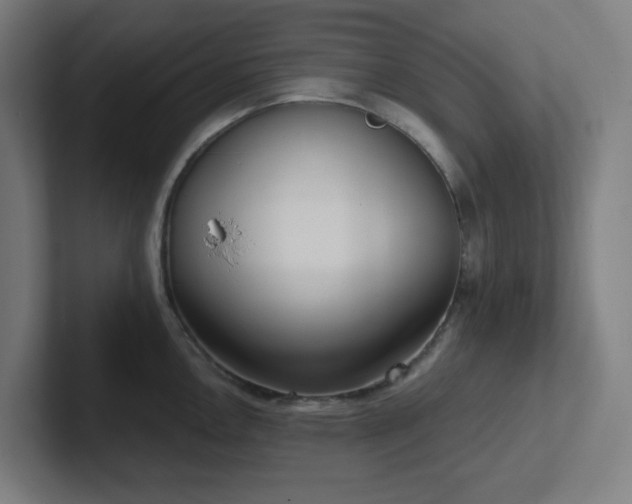 X0000102771146200808181124