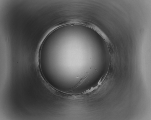 X0000102771148200808181124