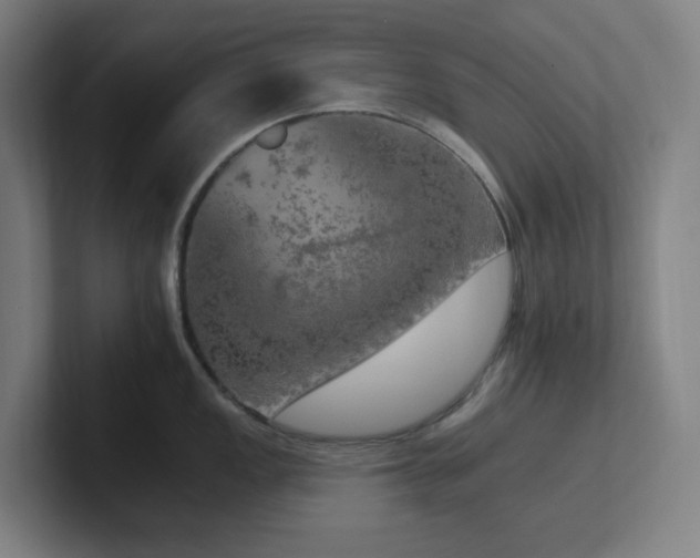 X0000102771149200808181124