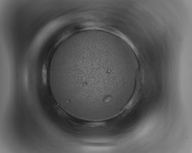 X0000102771151200808181124