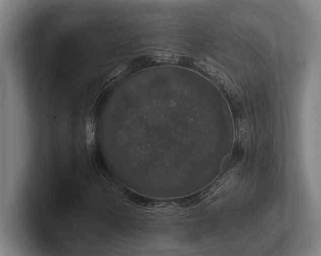 X0000102771154200808181123