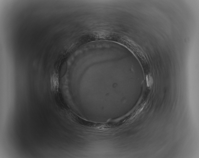 X0000102771155200808181123