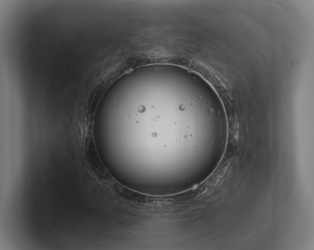 X0000102771157200808181123