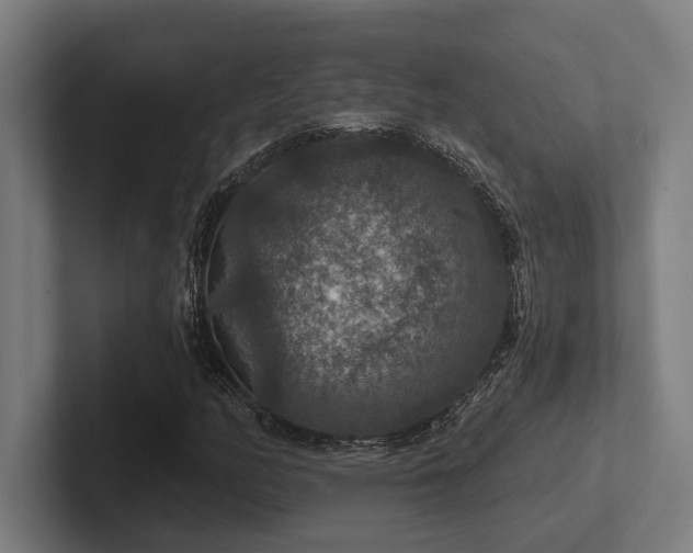 X0000102771158200808181123