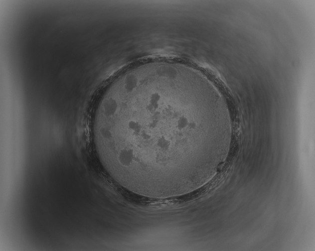 X0000102771159200808181123