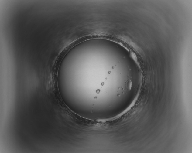 X0000102771160200808181123