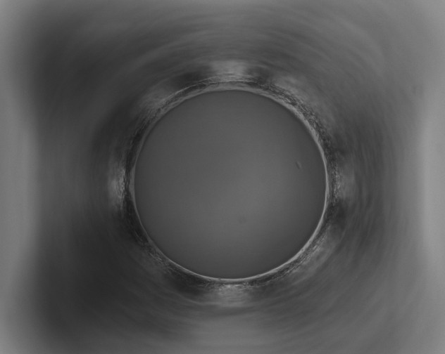 X0000102771161200808181123