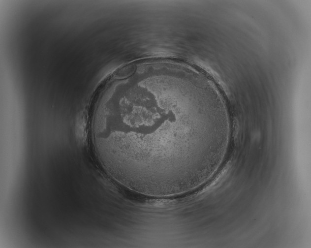 X0000102771163200808181123