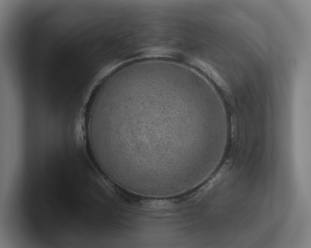 X0000102771164200808181123