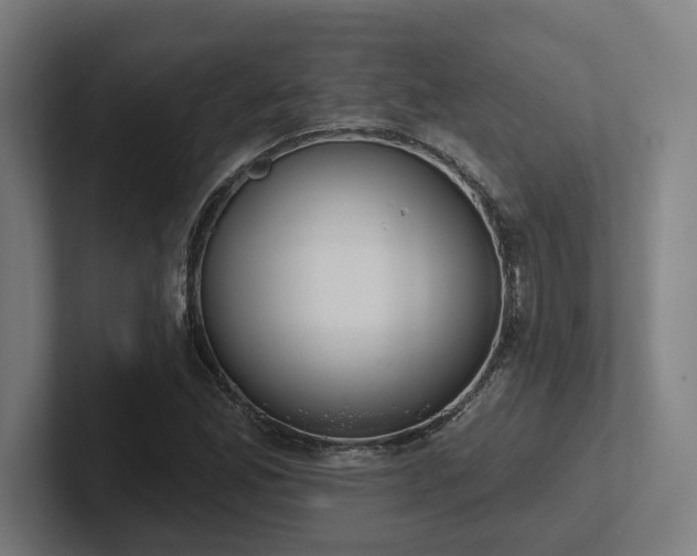 X0000102771165200808181123