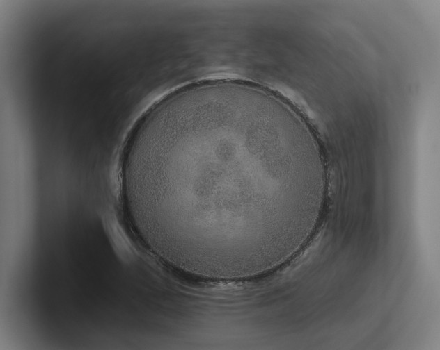 X0000102771167200808181123