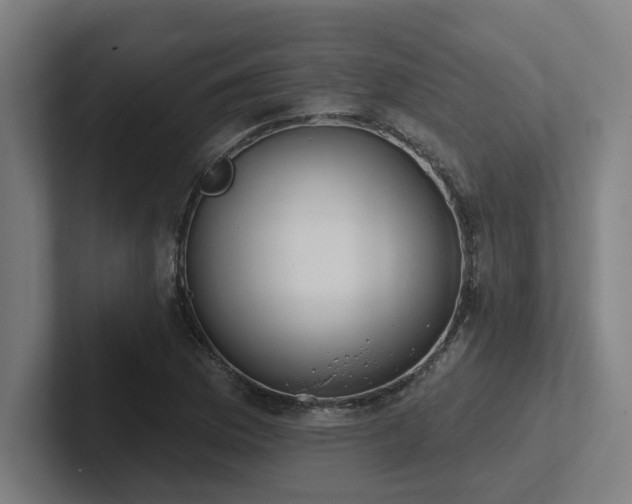 X0000102771169200808181123