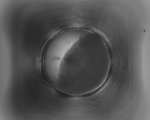 X0000102771170200808181123