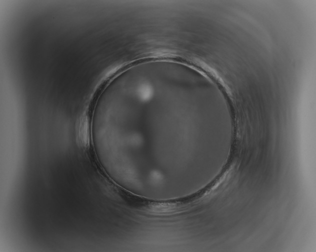 X0000102771171200808181123