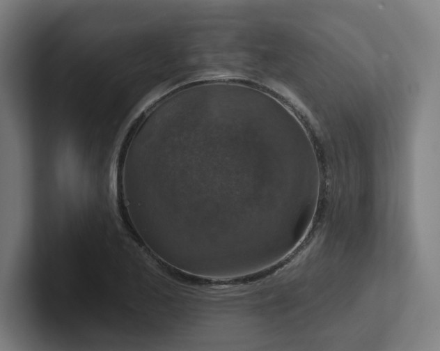 X0000102771173200808181123