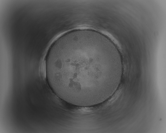 X0000102771175200808181123