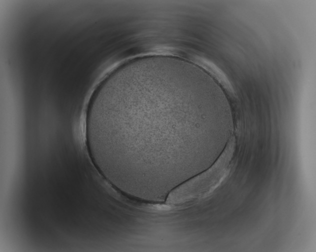 X0000102771180200808181123